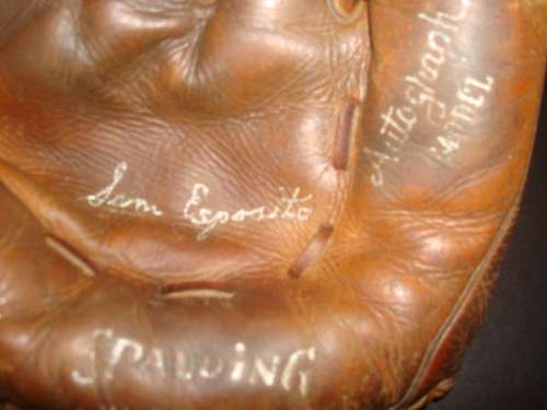 Sam Esposito Spalding Dick Stump Glove 2